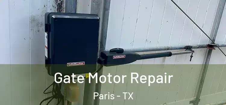 Gate Motor Repair Paris - TX